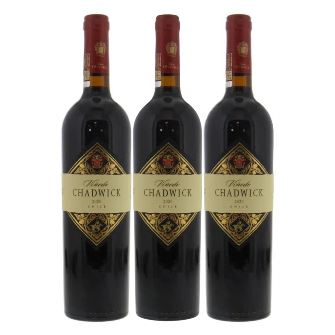 Vinedo Chadwick Cabernet Sauvignon Puente Alto 2020 750ml 3 Bottle Case